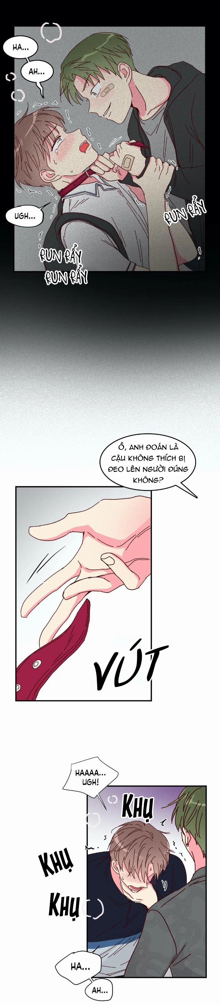 Món Tráng Miệng Của Sếp Tổng 16 trang 14