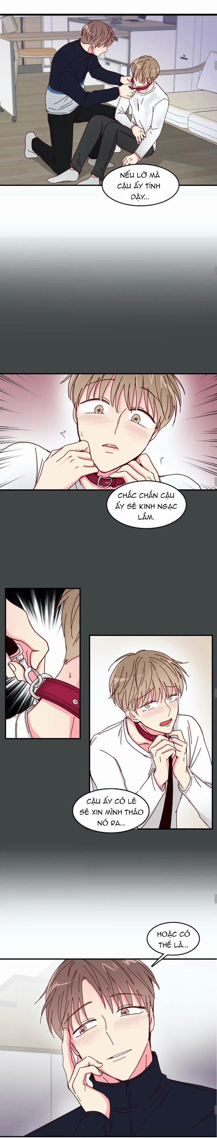 Món Tráng Miệng Của Sếp Tổng 16 trang 4
