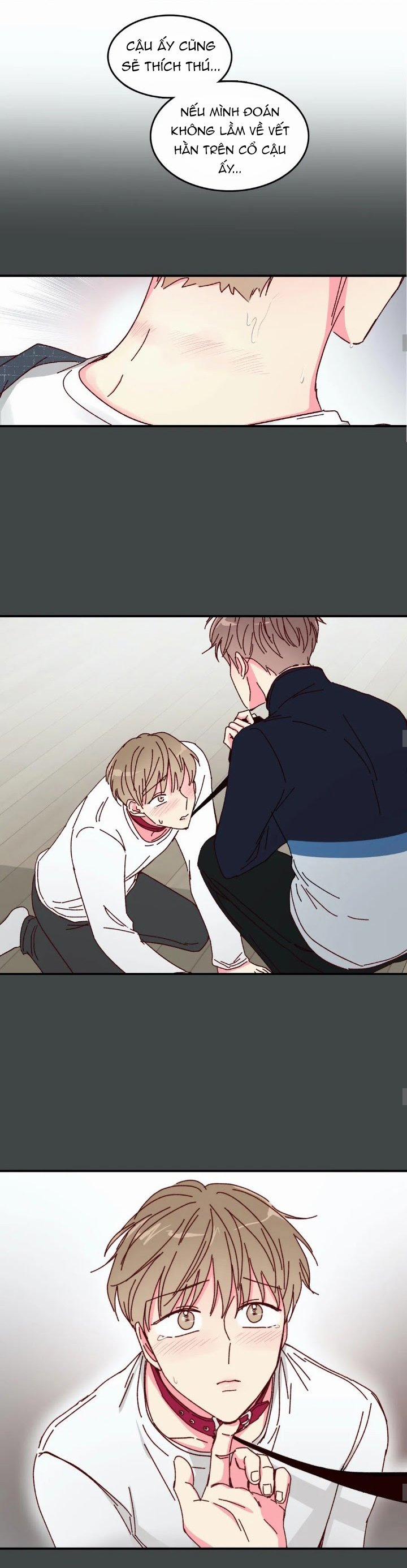 Món Tráng Miệng Của Sếp Tổng 16 trang 5