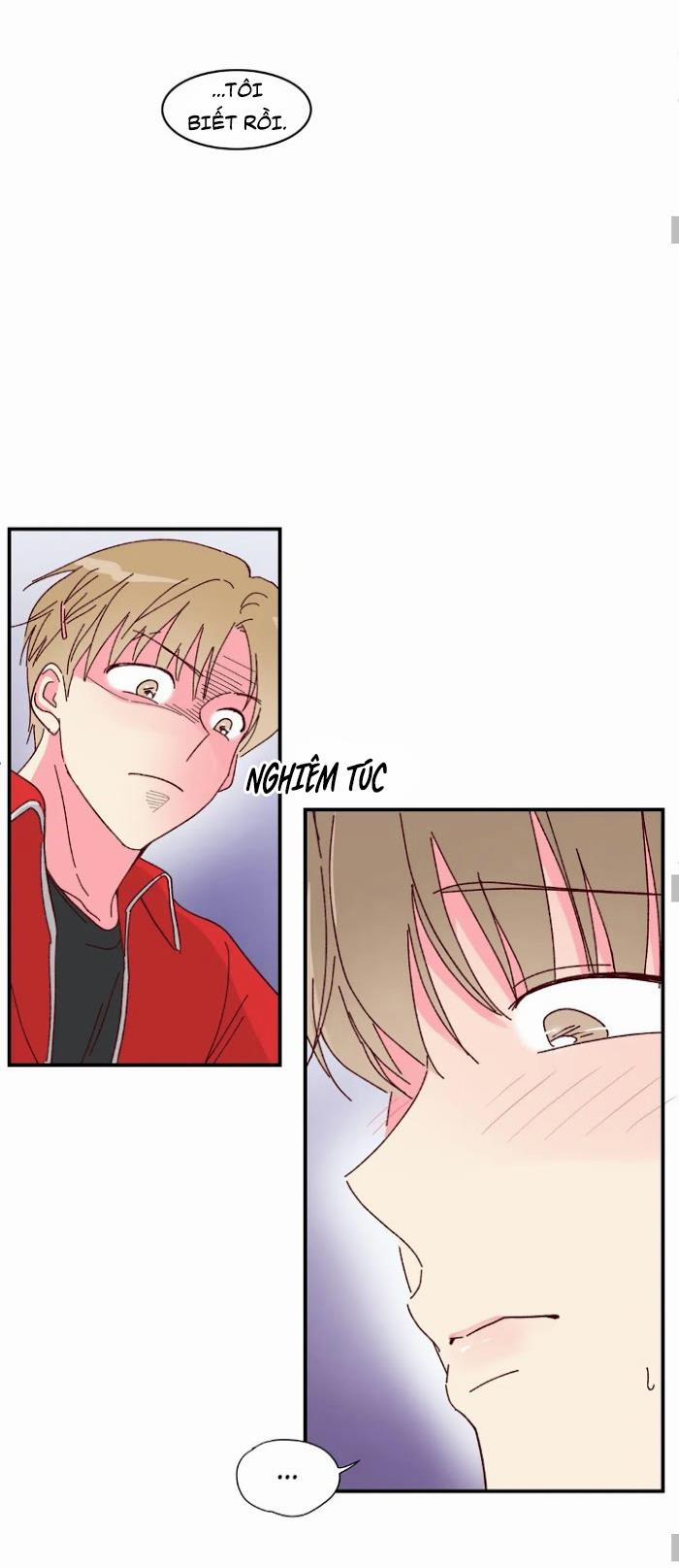 Món Tráng Miệng Của Sếp Tổng 17 trang 9