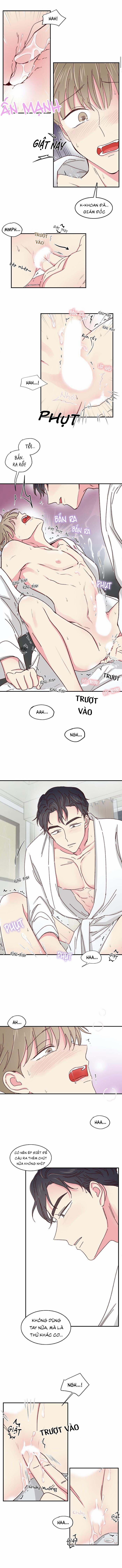 Món Tráng Miệng Của Sếp Tổng 19 trang 3