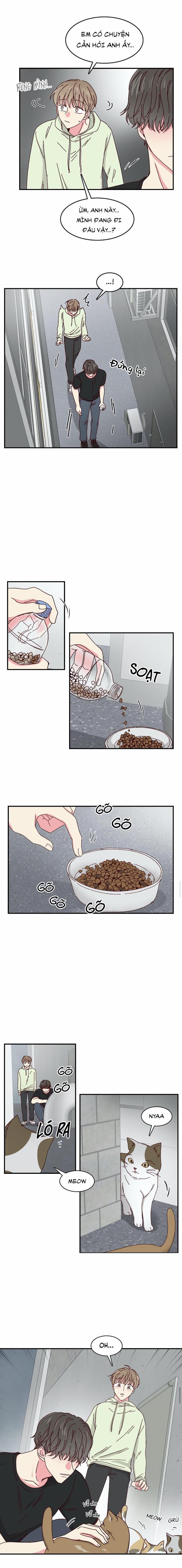 Món Tráng Miệng Của Sếp Tổng 22 trang 2