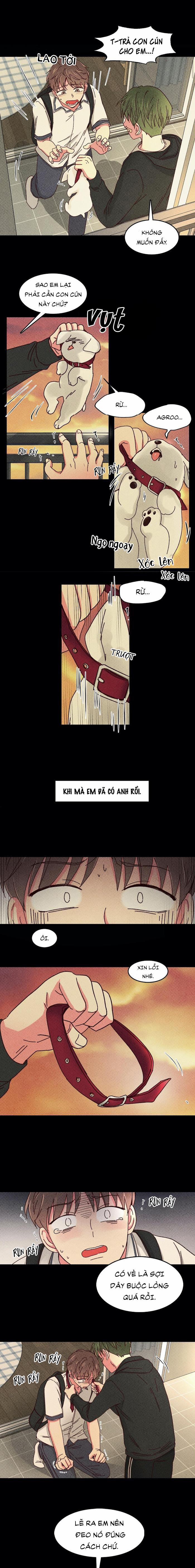 Món Tráng Miệng Của Sếp Tổng 28 trang 2