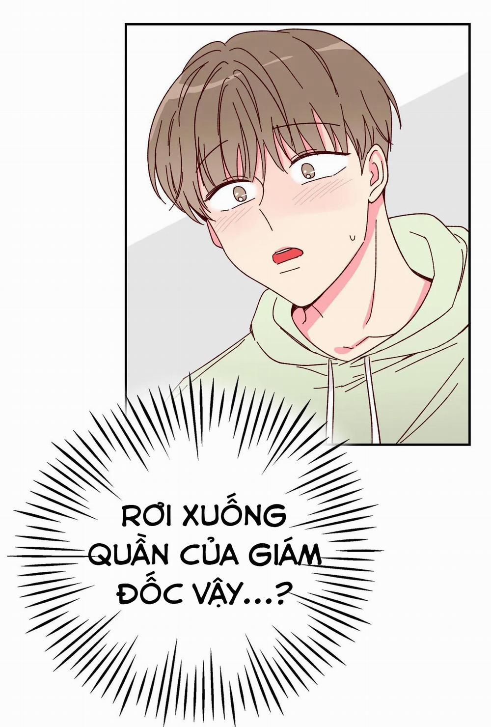 Món Tráng Miệng Của Sếp Tổng 3 trang 11