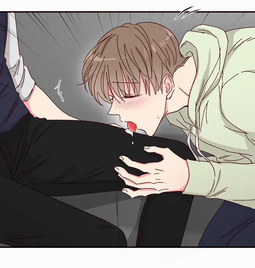 Món Tráng Miệng Của Sếp Tổng 3 trang 18