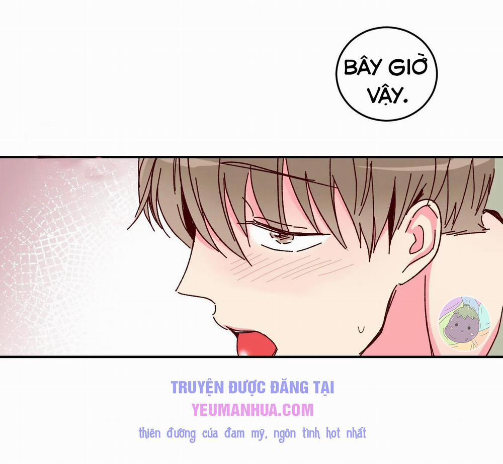 Món Tráng Miệng Của Sếp Tổng 3 trang 19