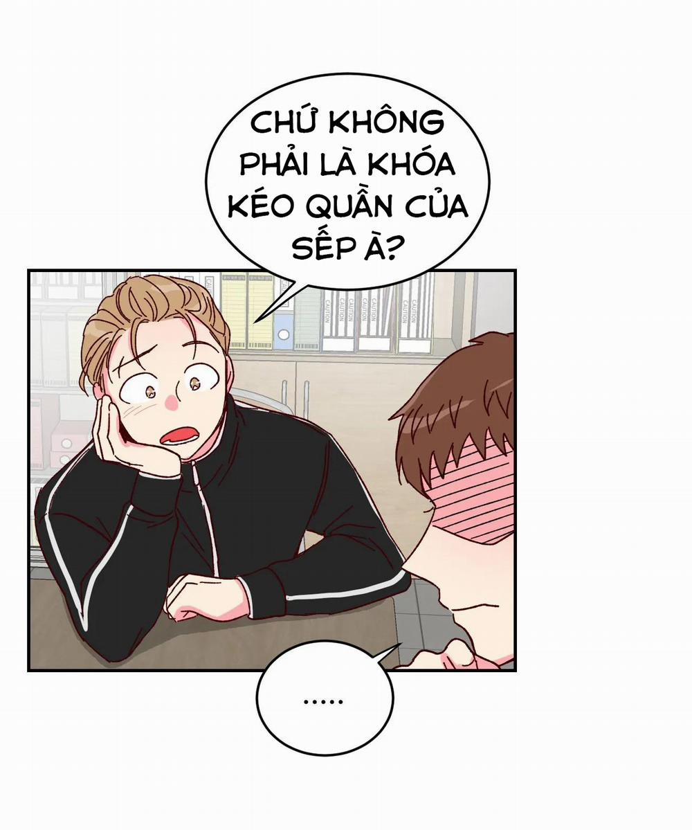 Món Tráng Miệng Của Sếp Tổng 3 trang 51