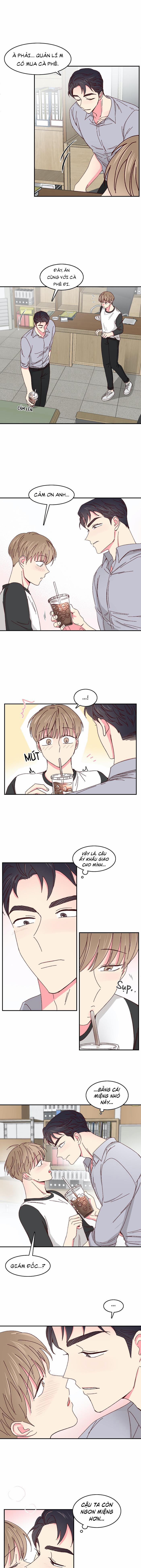 Món Tráng Miệng Của Sếp Tổng 30 trang 6