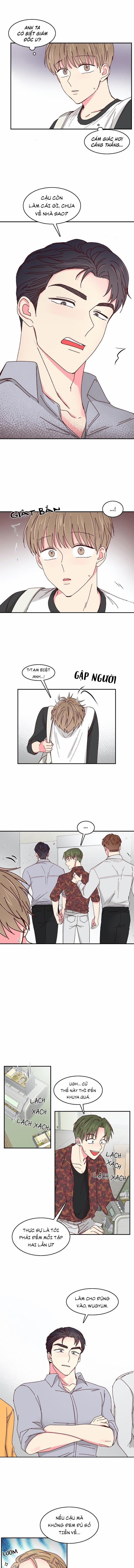 Món Tráng Miệng Của Sếp Tổng 31 trang 2
