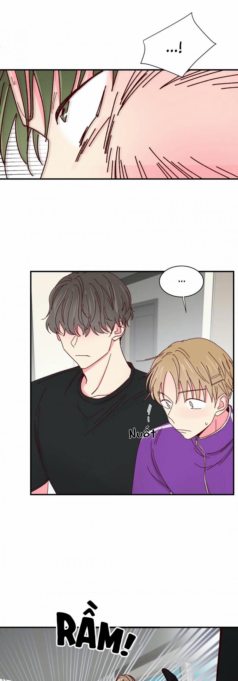 Món Tráng Miệng Của Sếp Tổng 38 trang 10