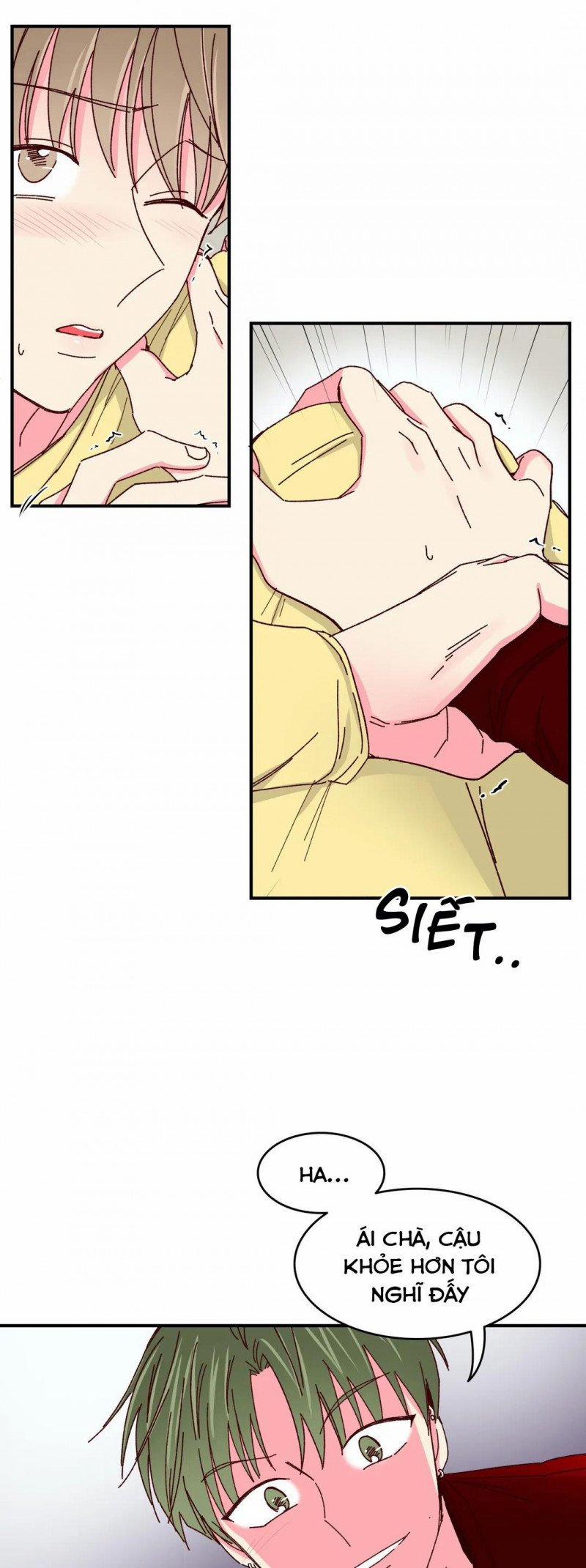 Món Tráng Miệng Của Sếp Tổng 38 trang 3