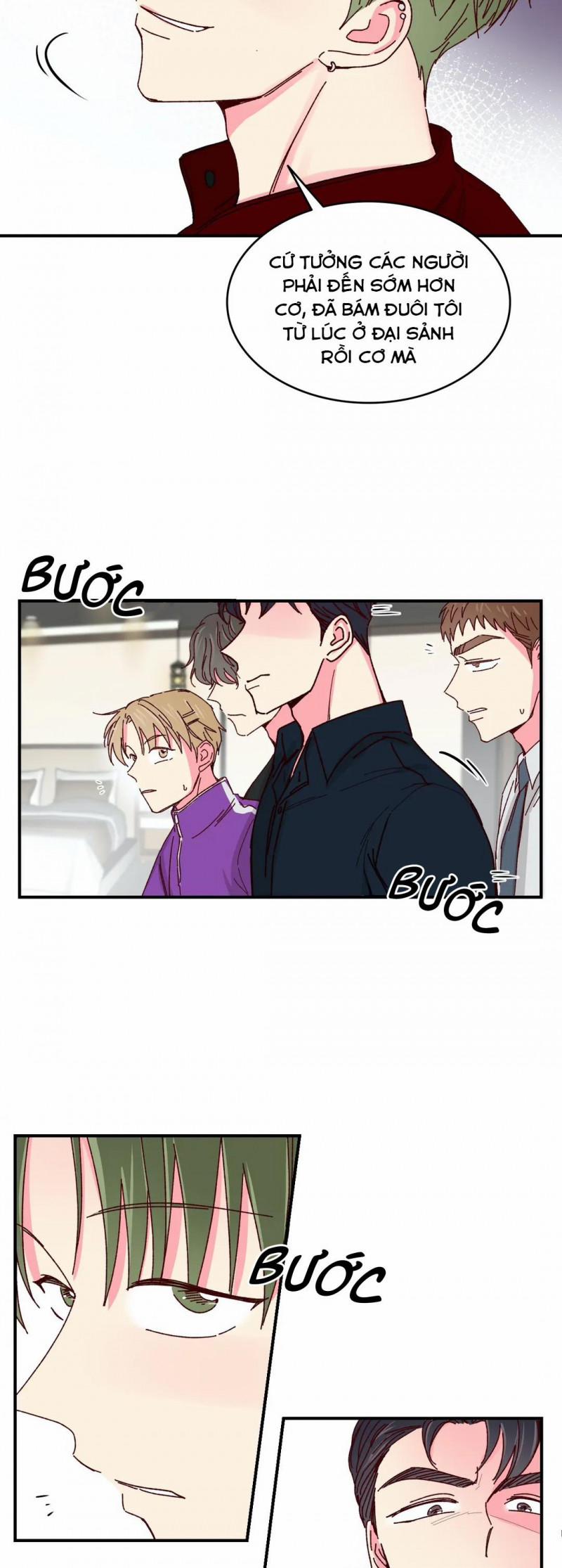 Món Tráng Miệng Của Sếp Tổng 38 trang 8