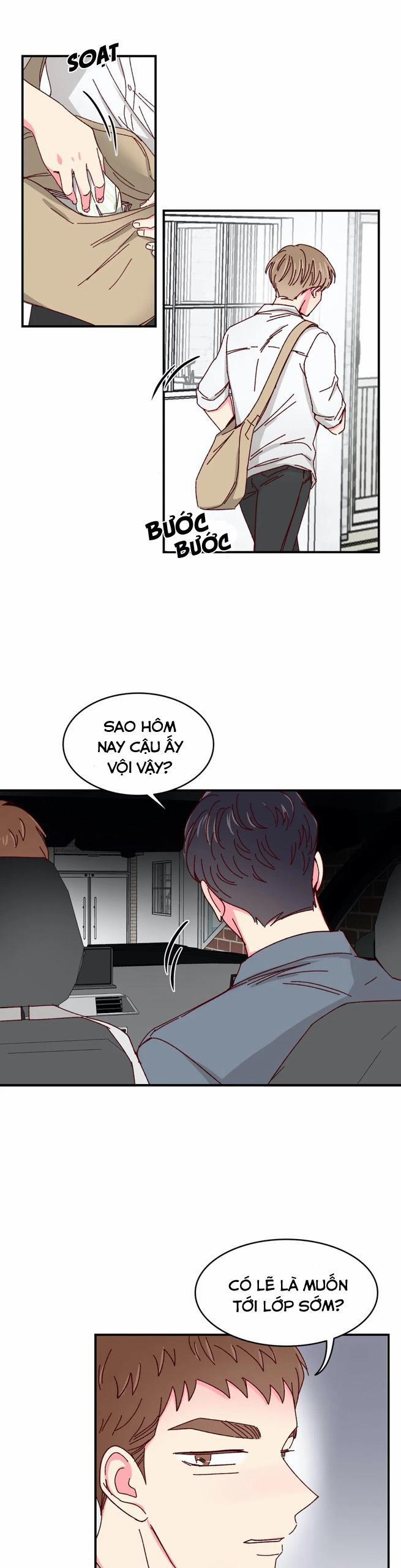 Món Tráng Miệng Của Sếp Tổng 39 trang 8