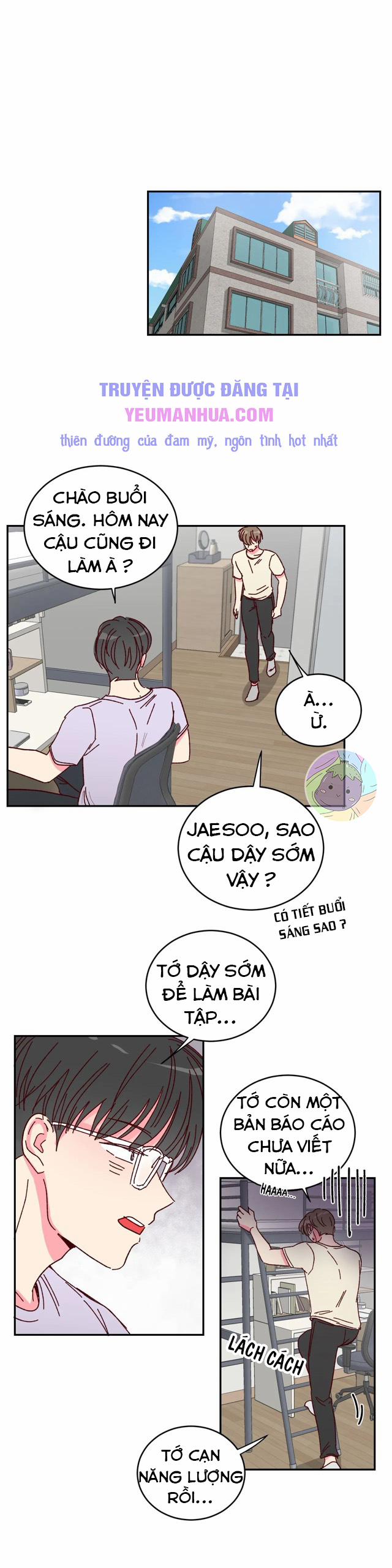 Món Tráng Miệng Của Sếp Tổng 4 trang 11