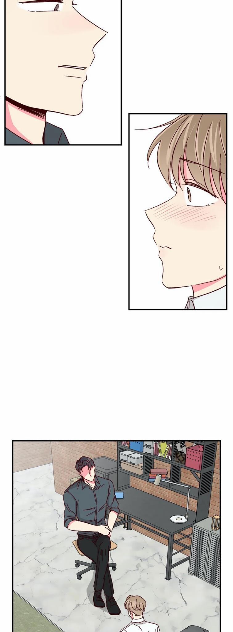 Món Tráng Miệng Của Sếp Tổng 40 trang 11