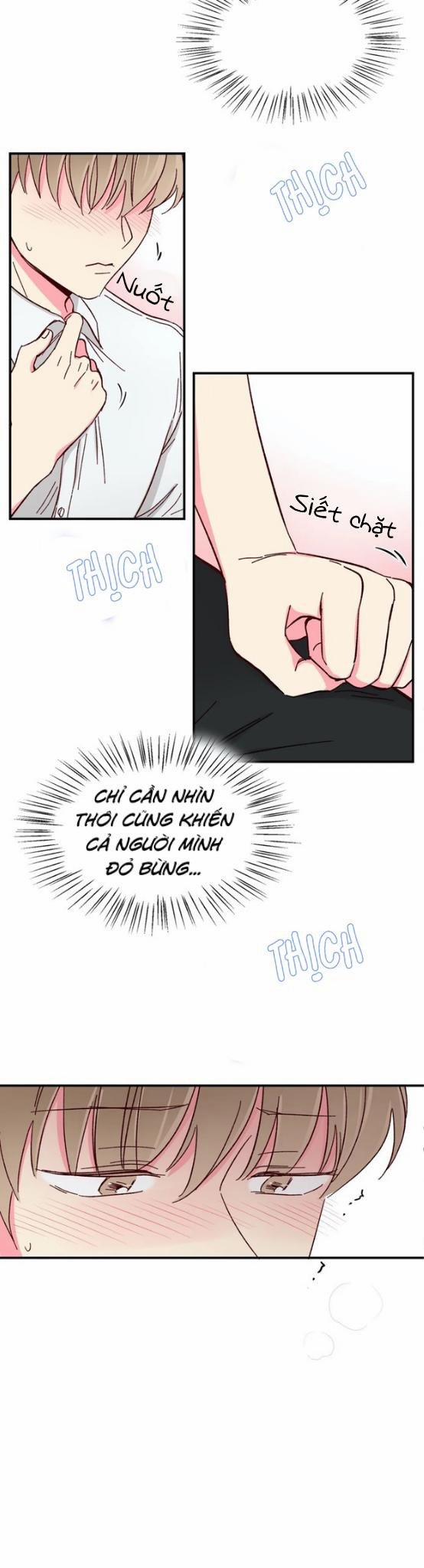 Món Tráng Miệng Của Sếp Tổng 40 trang 16