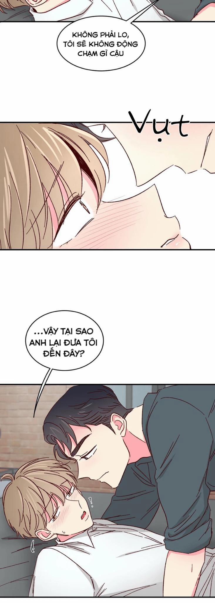 Món Tráng Miệng Của Sếp Tổng 40 trang 6