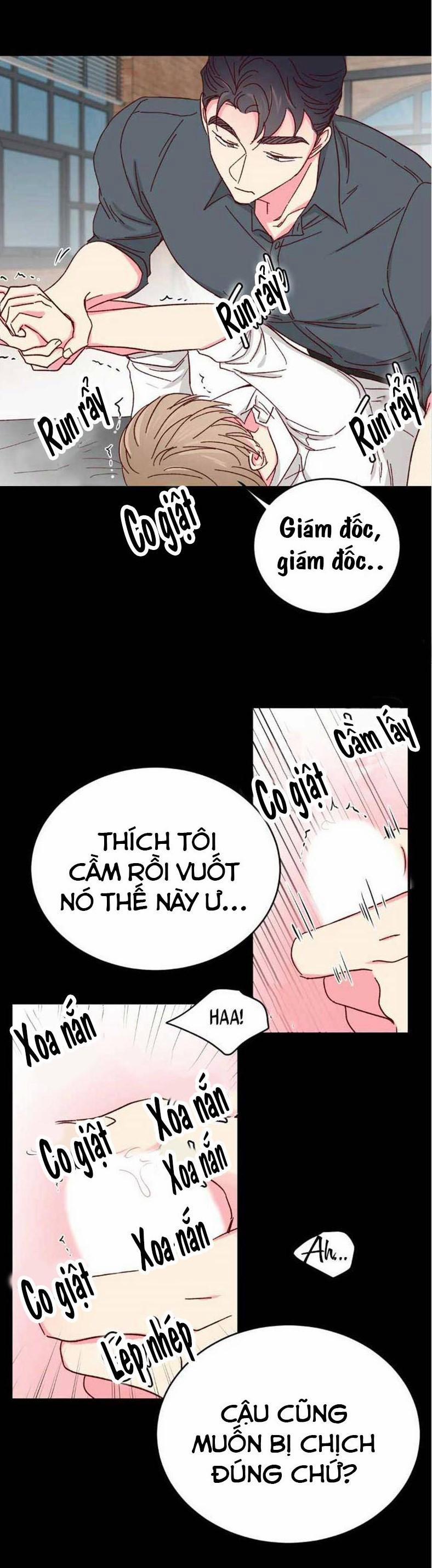 Món Tráng Miệng Của Sếp Tổng 41 trang 11