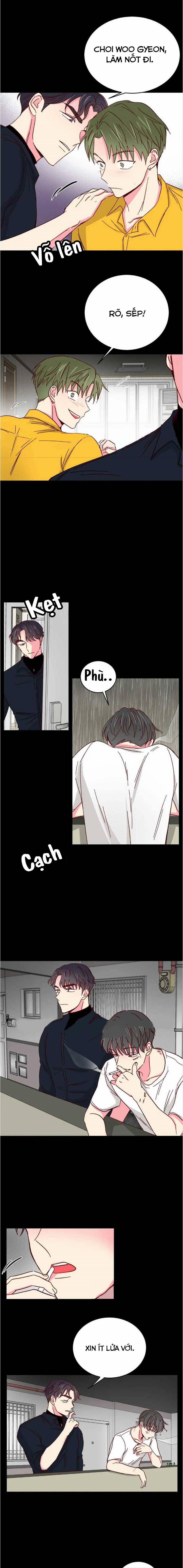 Món Tráng Miệng Của Sếp Tổng 42 trang 6