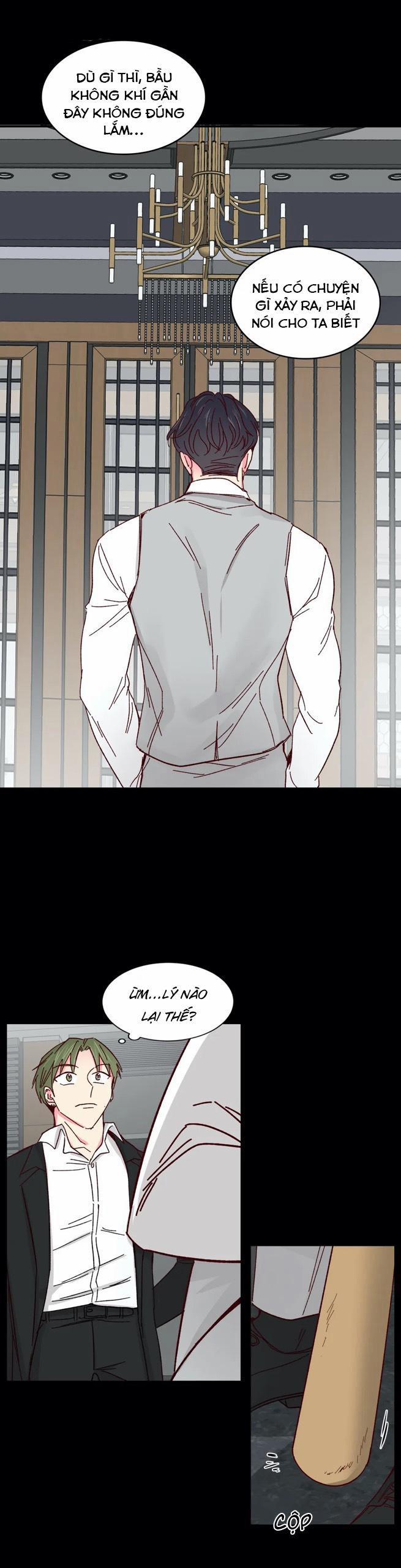 Món Tráng Miệng Của Sếp Tổng 43 trang 17