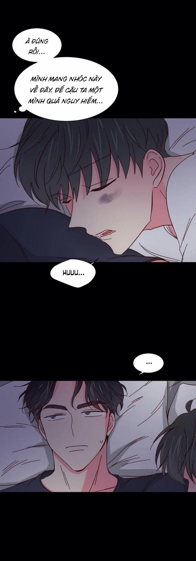 Món Tráng Miệng Của Sếp Tổng 43 trang 2