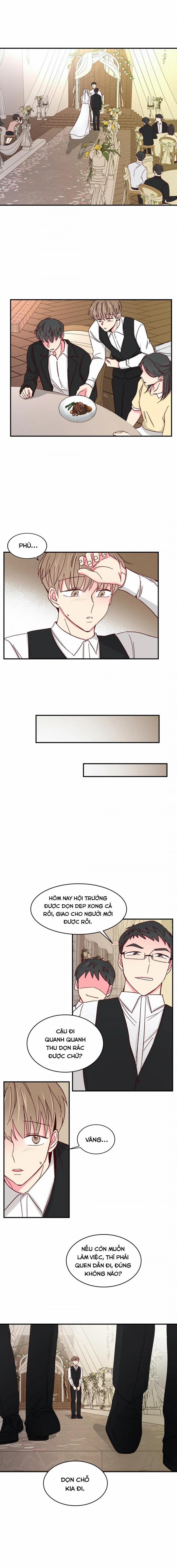 Món Tráng Miệng Của Sếp Tổng 44 trang 13