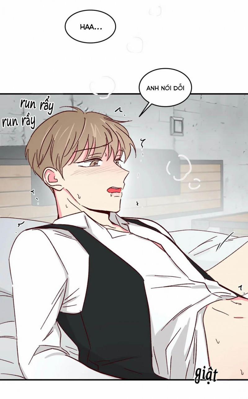 Món Tráng Miệng Của Sếp Tổng 46 trang 13