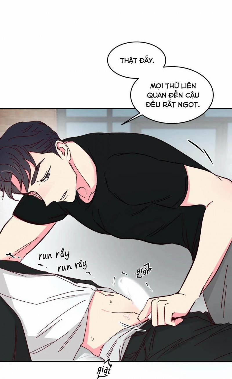 Món Tráng Miệng Của Sếp Tổng 46 trang 14