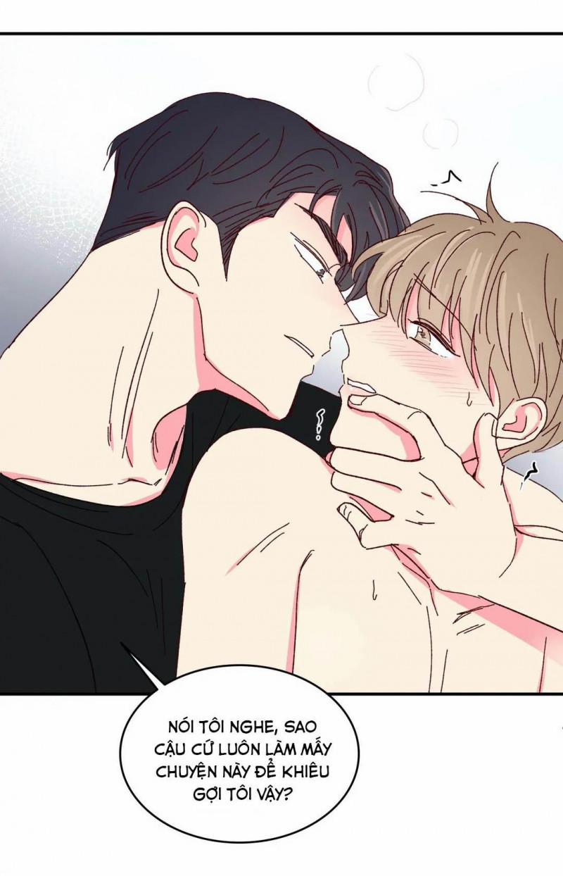 Món Tráng Miệng Của Sếp Tổng 46 trang 51