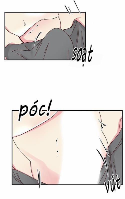 Món Tráng Miệng Của Sếp Tổng 47 trang 10