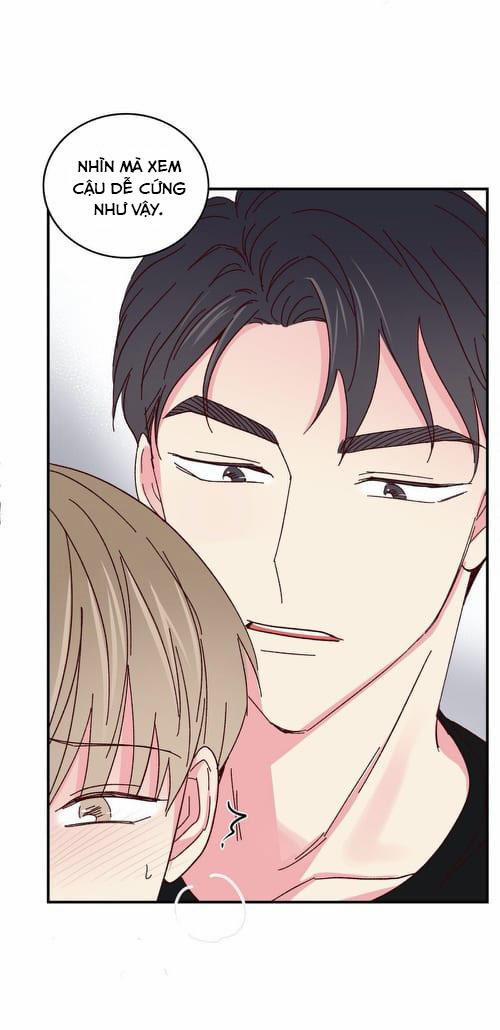 Món Tráng Miệng Của Sếp Tổng 47 trang 12