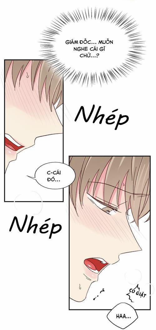 Món Tráng Miệng Của Sếp Tổng 47 trang 15