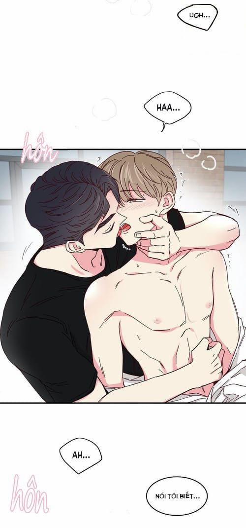 Món Tráng Miệng Của Sếp Tổng 47 trang 2