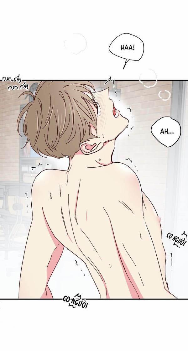 Món Tráng Miệng Của Sếp Tổng 47 trang 34