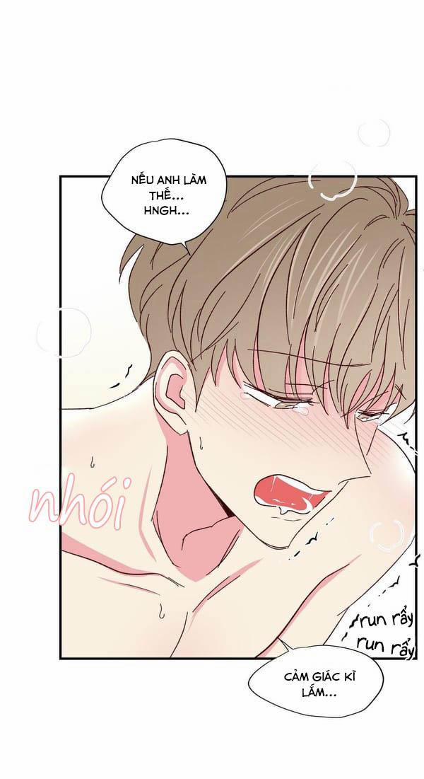 Món Tráng Miệng Của Sếp Tổng 47 trang 39