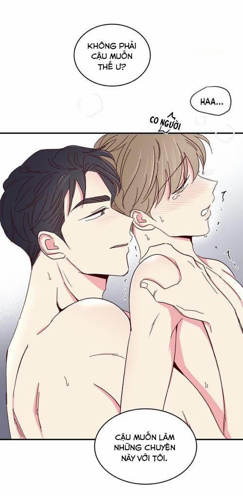 Món Tráng Miệng Của Sếp Tổng 47 trang 41