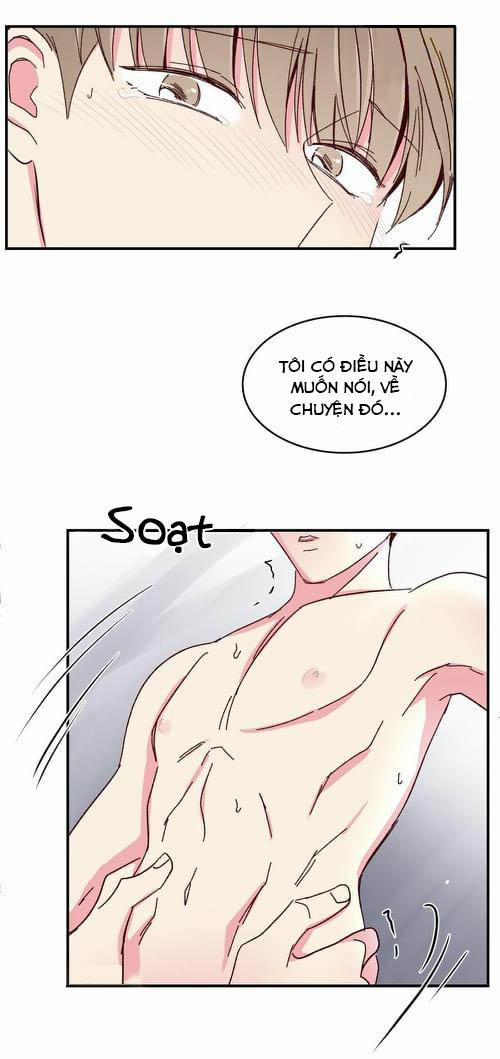 Món Tráng Miệng Của Sếp Tổng 47 trang 46