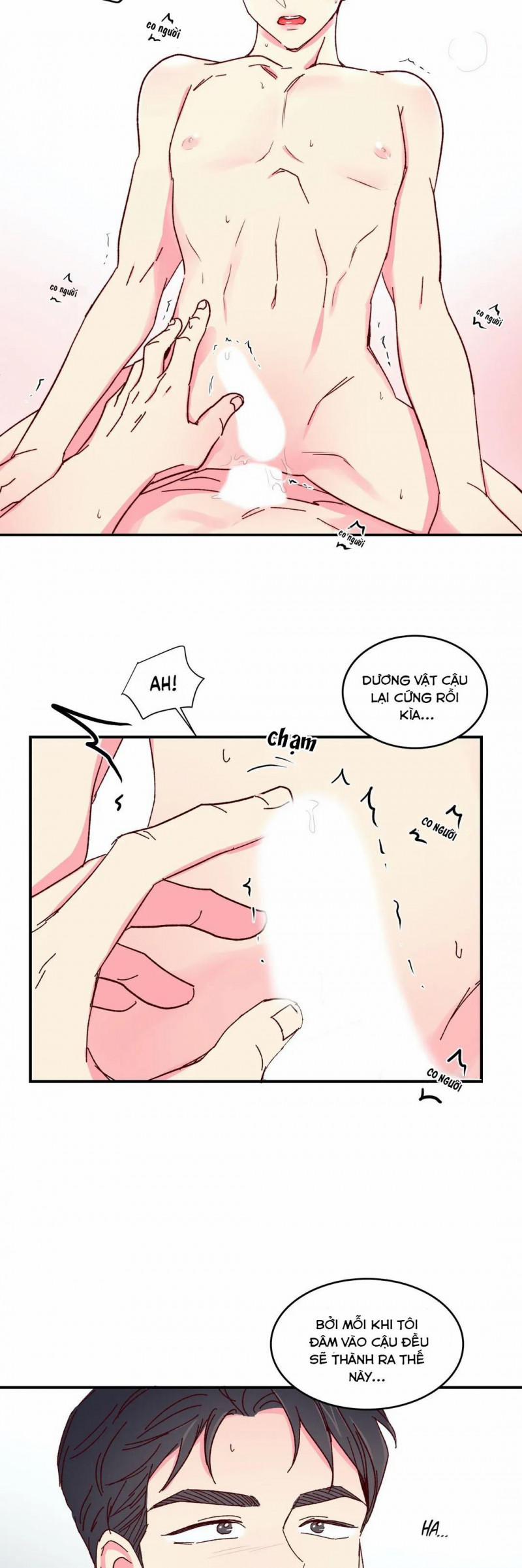 Món Tráng Miệng Của Sếp Tổng 48 trang 11