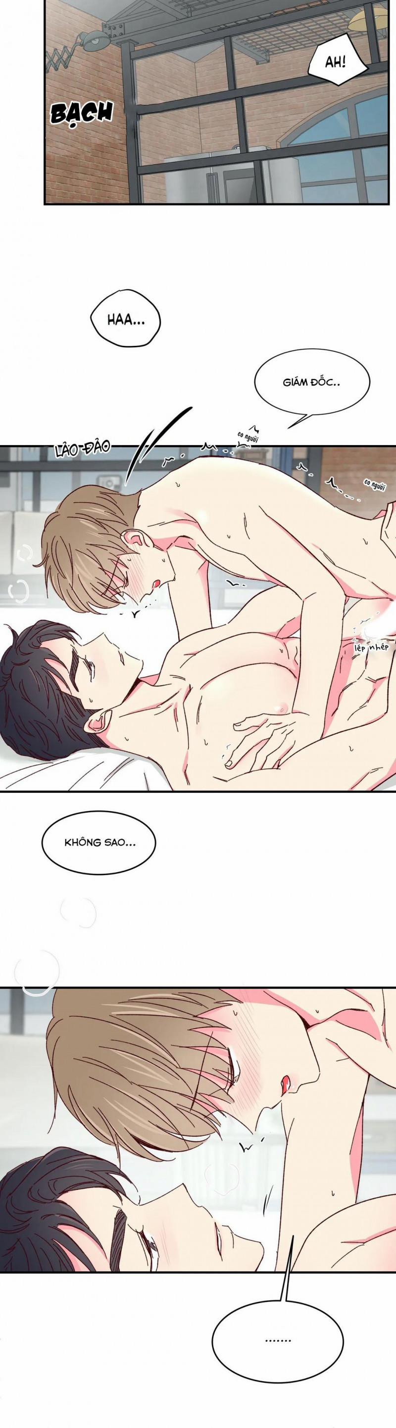 Món Tráng Miệng Của Sếp Tổng 48 trang 14