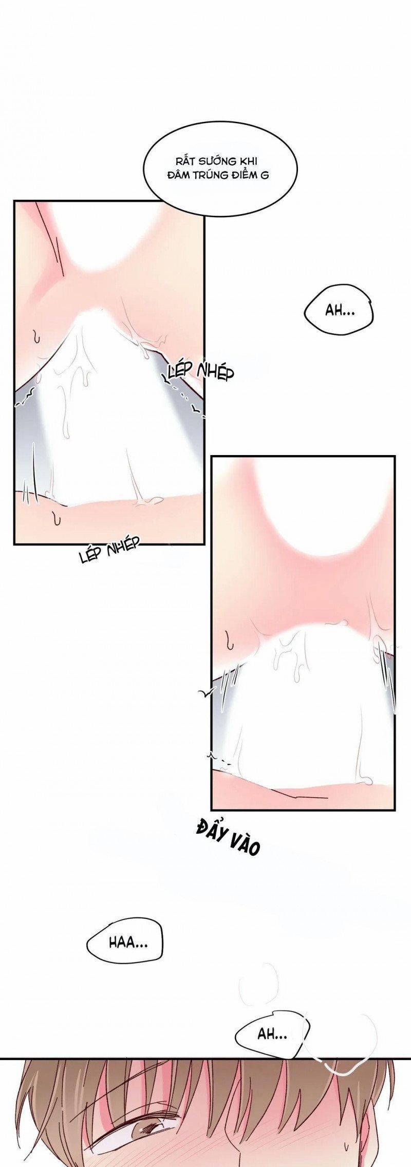 Món Tráng Miệng Của Sếp Tổng 48 trang 19