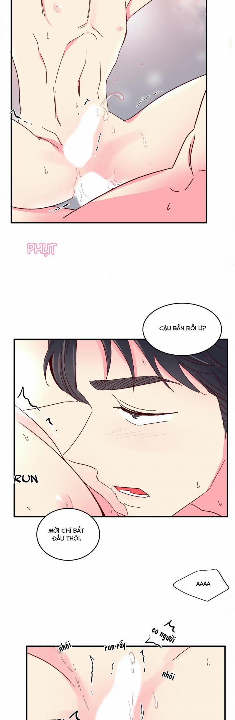 Món Tráng Miệng Của Sếp Tổng 48 trang 24