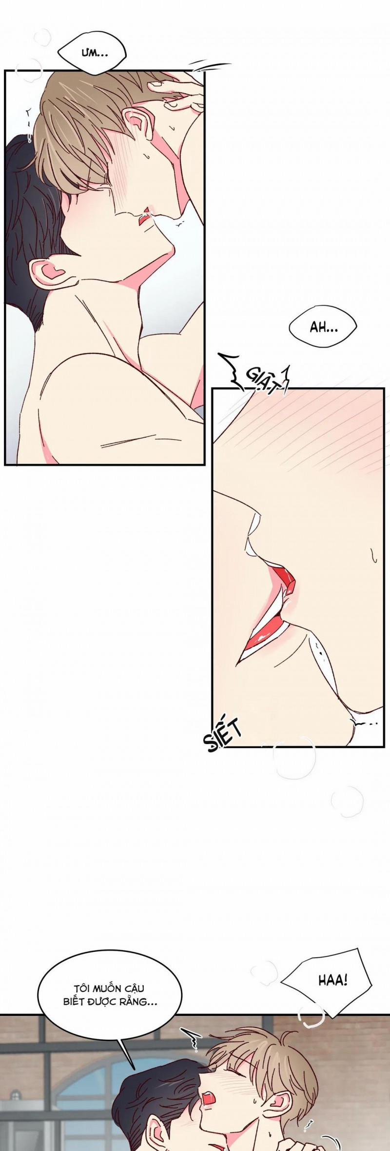 Món Tráng Miệng Của Sếp Tổng 48 trang 3