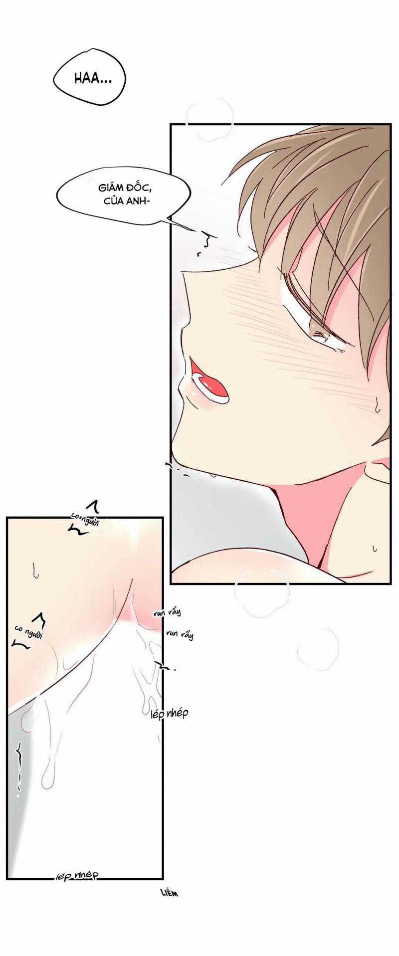 Món Tráng Miệng Của Sếp Tổng 48 trang 8