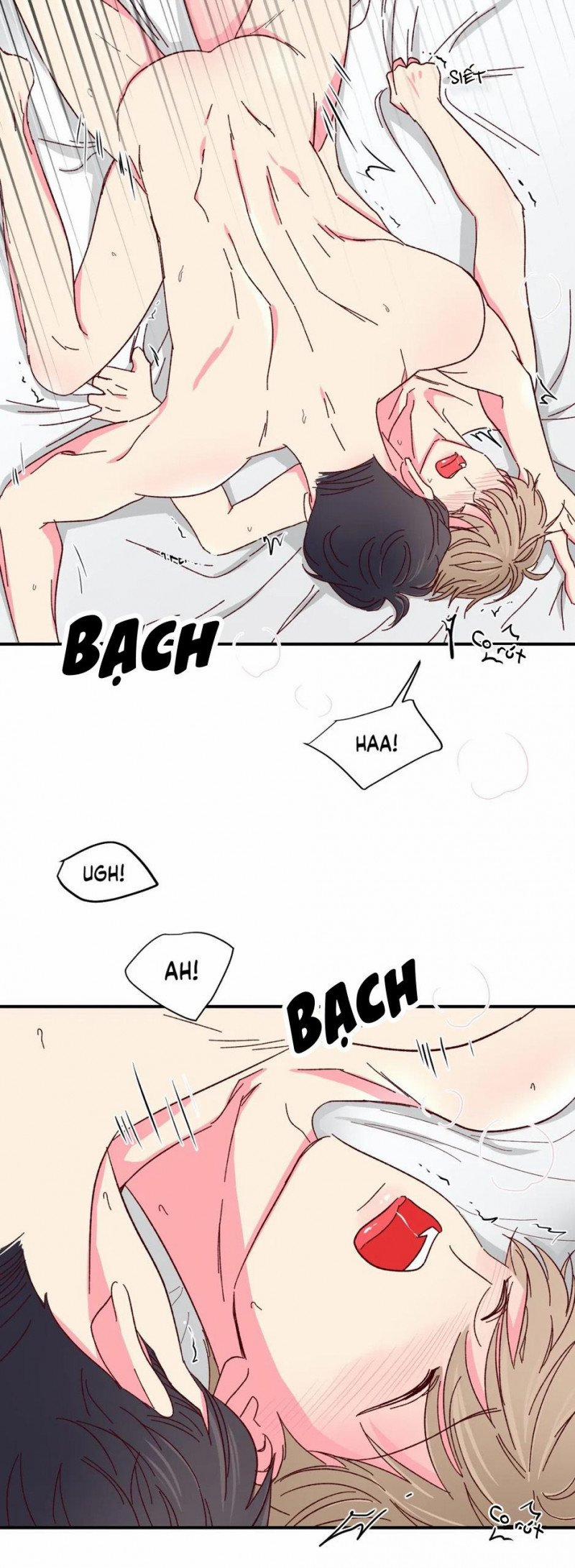 Món Tráng Miệng Của Sếp Tổng 49 trang 11