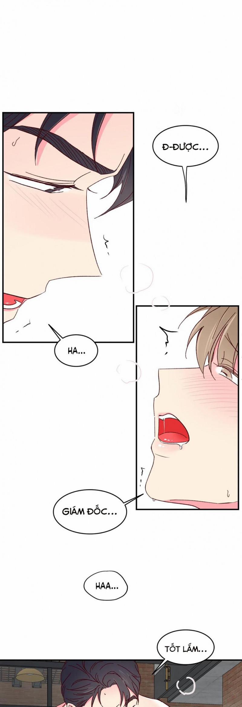 Món Tráng Miệng Của Sếp Tổng 49 trang 12