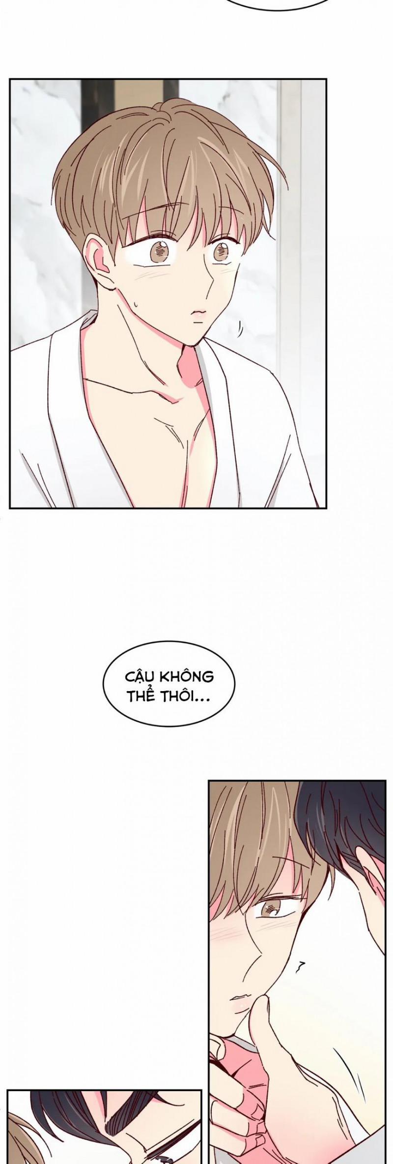 Món Tráng Miệng Của Sếp Tổng 49 trang 26