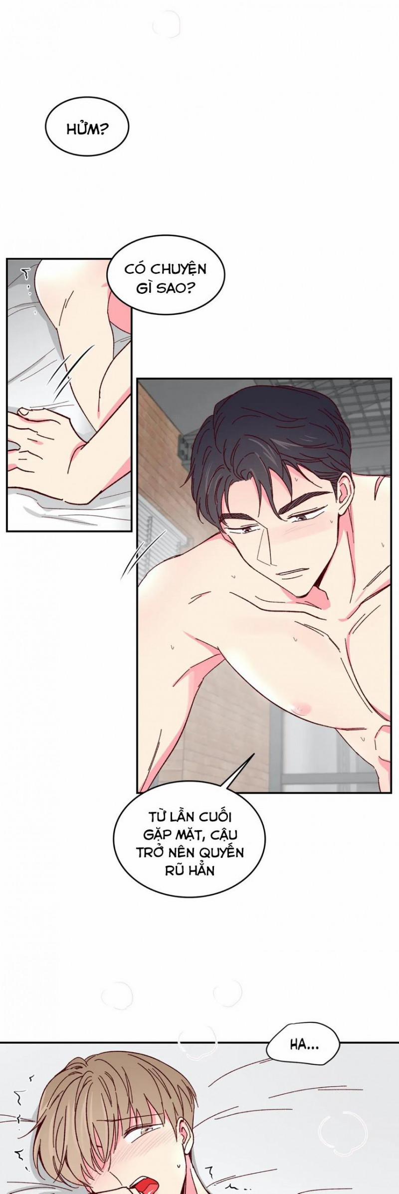 Món Tráng Miệng Của Sếp Tổng 49 trang 4