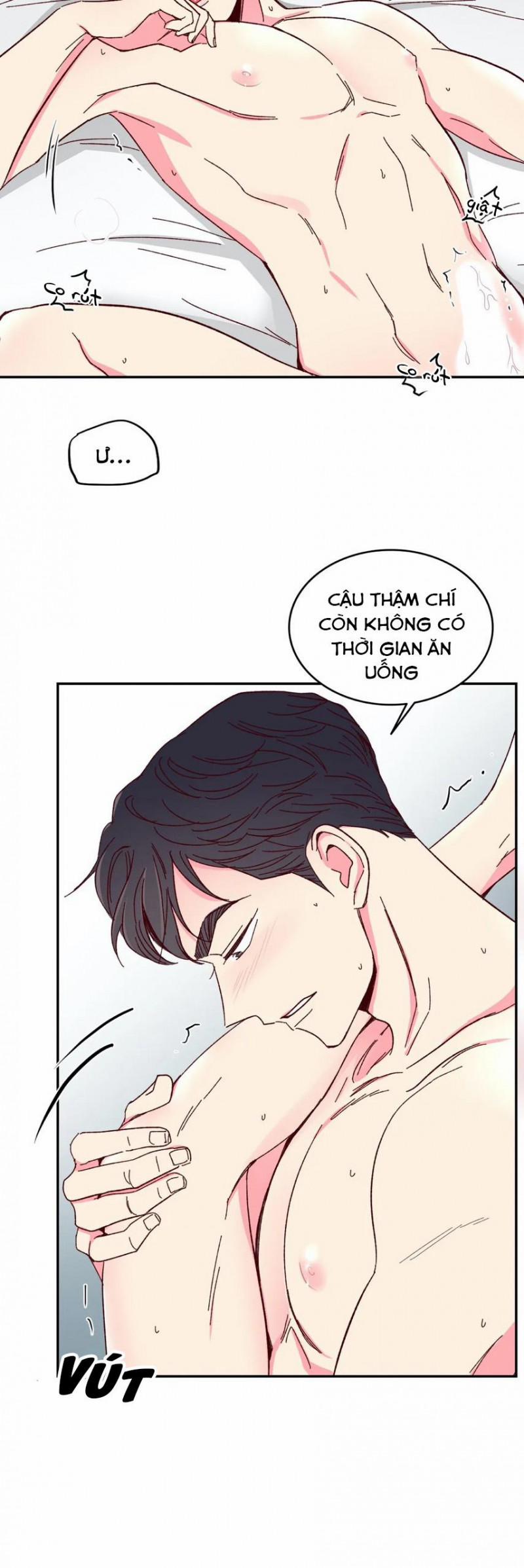 Món Tráng Miệng Của Sếp Tổng 49 trang 5