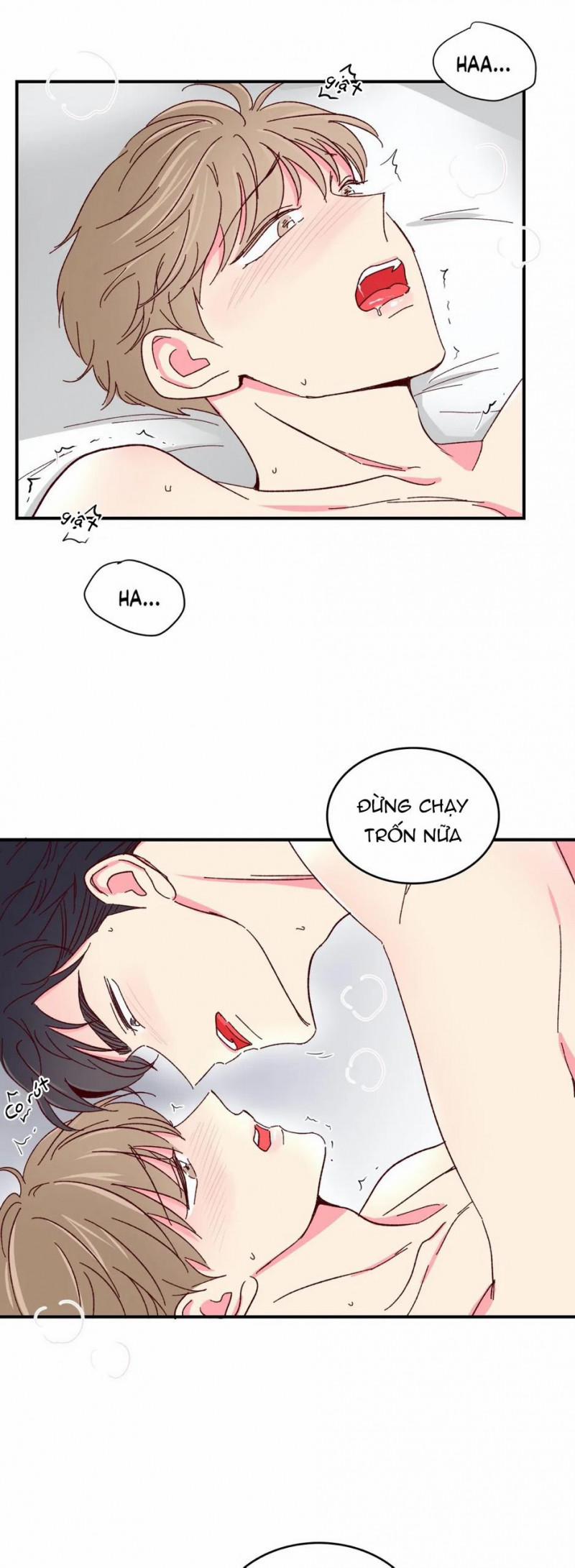 Món Tráng Miệng Của Sếp Tổng 49 trang 9