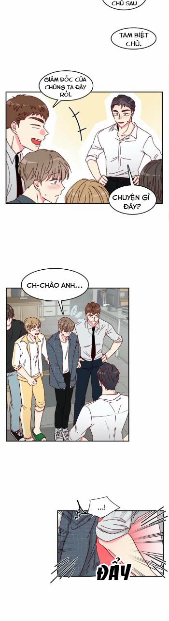 Món Tráng Miệng Của Sếp Tổng 5 trang 12